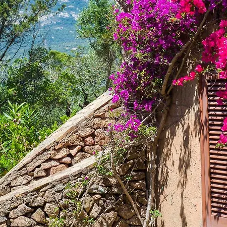 Caletta 10 - Klodge Apartment Porto Rotondo